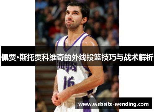 佩贾·斯托贾科维奇的外线投篮技巧与战术解析