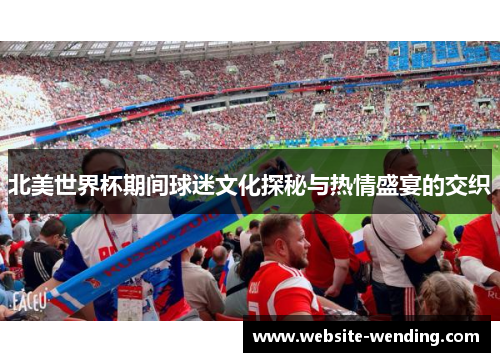 北美世界杯期间球迷文化探秘与热情盛宴的交织