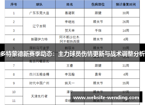 多特蒙德新赛季动态：主力球员伤情更新与战术调整分析