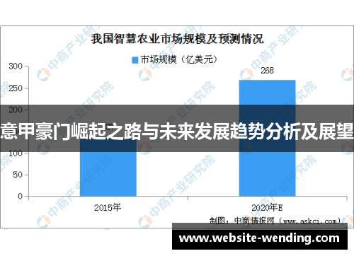 意甲豪门崛起之路与未来发展趋势分析及展望