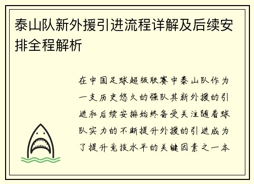 泰山队新外援引进流程详解及后续安排全程解析