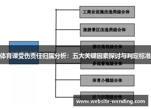 体育课受伤责任归属分析：五大关键因素探讨与判定标准