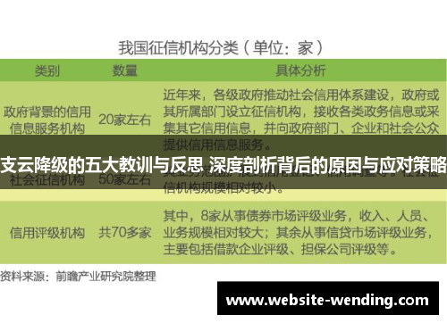 支云降级的五大教训与反思 深度剖析背后的原因与应对策略