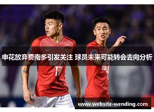 申花放弃费南多引发关注 球员未来可能转会去向分析