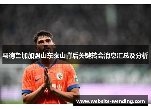 马德鲁加加盟山东泰山背后关键转会消息汇总及分析