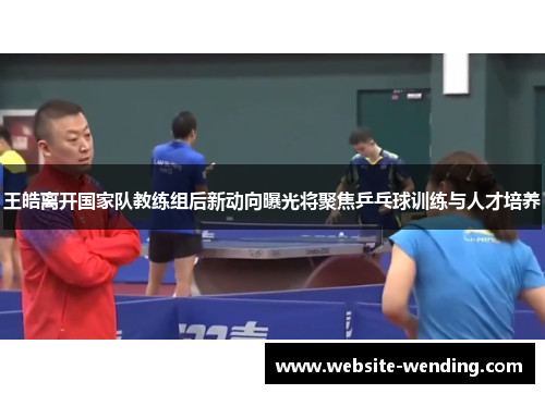 王皓离开国家队教练组后新动向曝光将聚焦乒乓球训练与人才培养