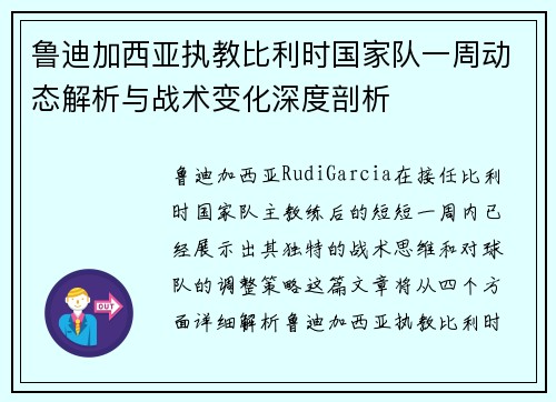 鲁迪加西亚执教比利时国家队一周动态解析与战术变化深度剖析