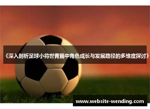 《深入剖析足球小将世青篇中角色成长与发展路径的多维度探讨》