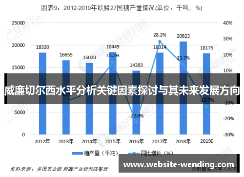 威廉切尔西水平分析关键因素探讨与其未来发展方向