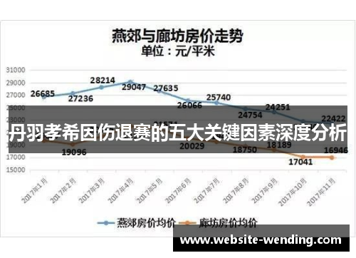 丹羽孝希因伤退赛的五大关键因素深度分析