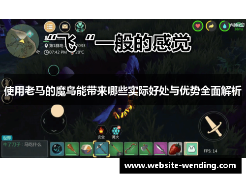 使用老马的魔鸟能带来哪些实际好处与优势全面解析