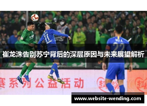 崔龙洙告别苏宁背后的深层原因与未来展望解析
