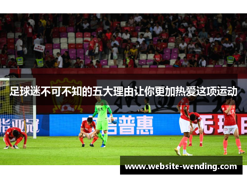 足球迷不可不知的五大理由让你更加热爱这项运动